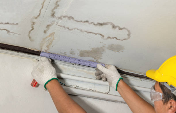 Reliable Structural Drying contractor in Freeland, MI by Water Damage Irwin